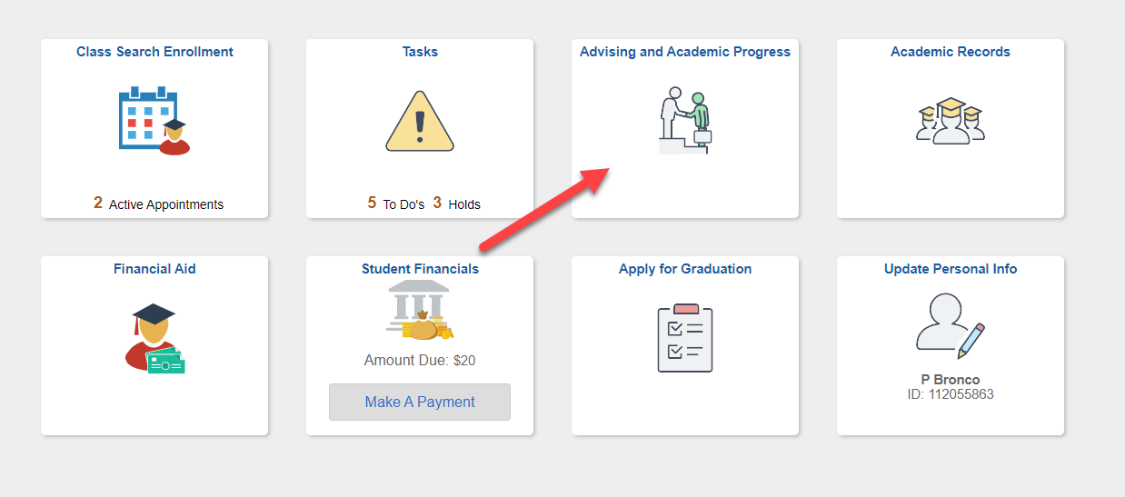 Select Advising and Academic Progress