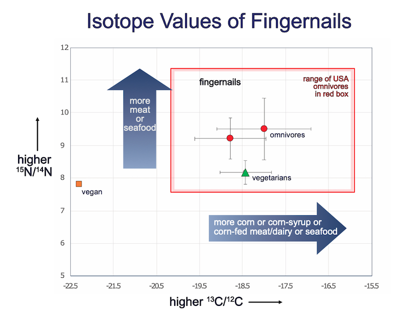 plot of carbon and nitrogen isotopes from fingernails from US omnivores, vegetarians, and vegan