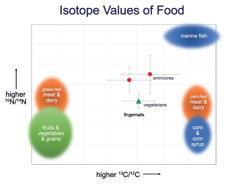 plot of carbon and nitrogen isotopes of foods from the USA