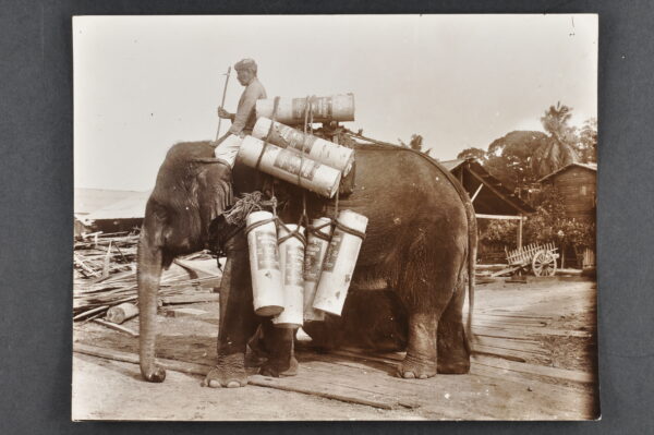 person riding an elephant, the elephant is loaded with several canisters tied with ropes