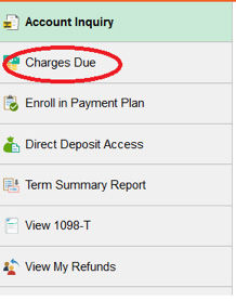 Charges Due Dropdown screenshot