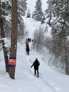 A group of children hiking through the snow