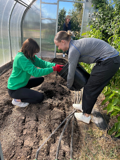 Two students preparing a crop plot for planting. 