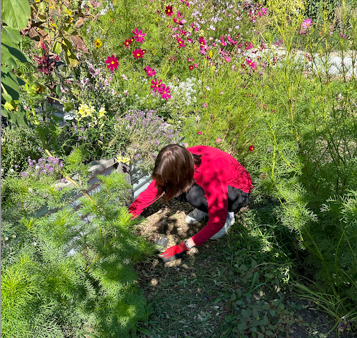 Student weeding flower bed.