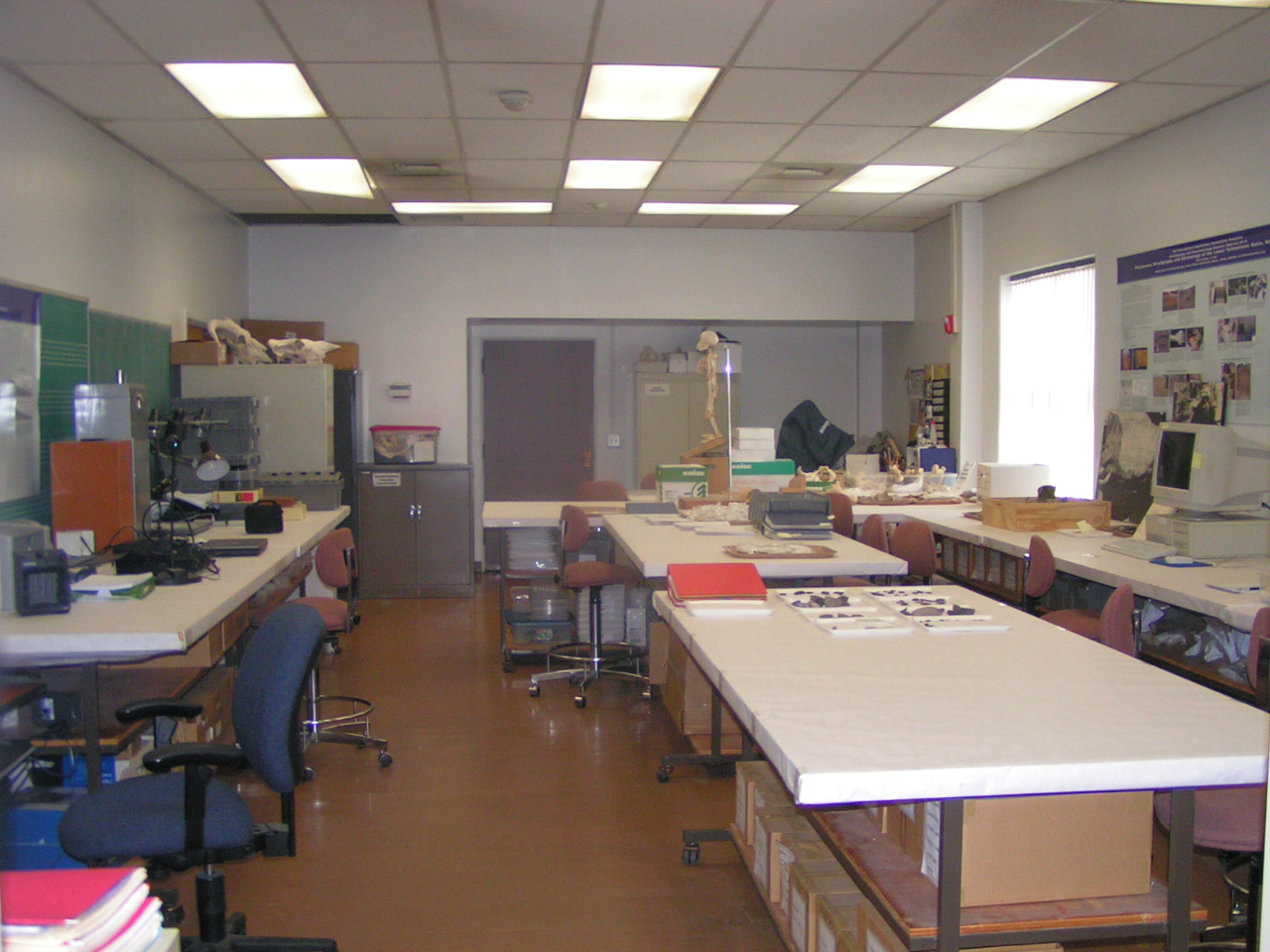 Photo of lab with artifacts layed out on the lab table. 