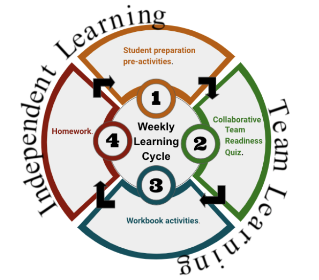 Weekly Learning Cycle in Statistical Methods Course