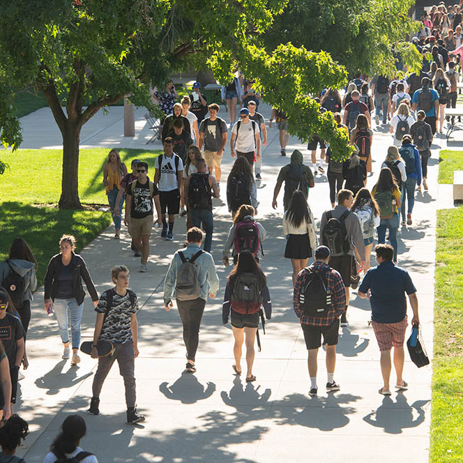 Students walk along pathway 