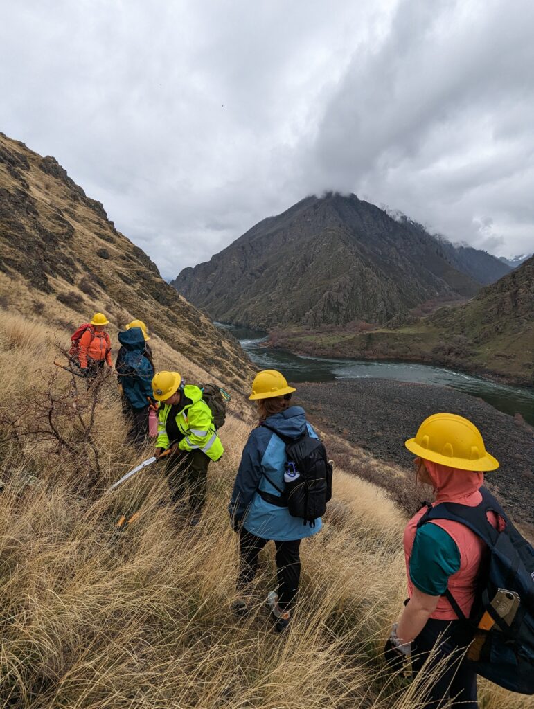 Students doing trail maintenance in Hells Canyon ID