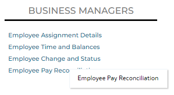 Screenshot of Employee Pay Reconciliation Report