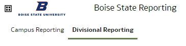 Boise State Divisional Reporting Header