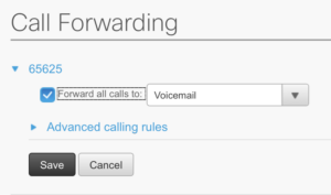 Call forwarding options