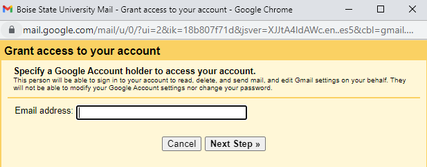 Grant access to your account pop up in Gmail