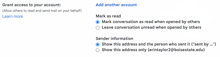 Grant access to your account option in Gmail