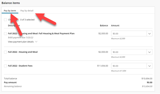 payments options screenshot on myboisestate
