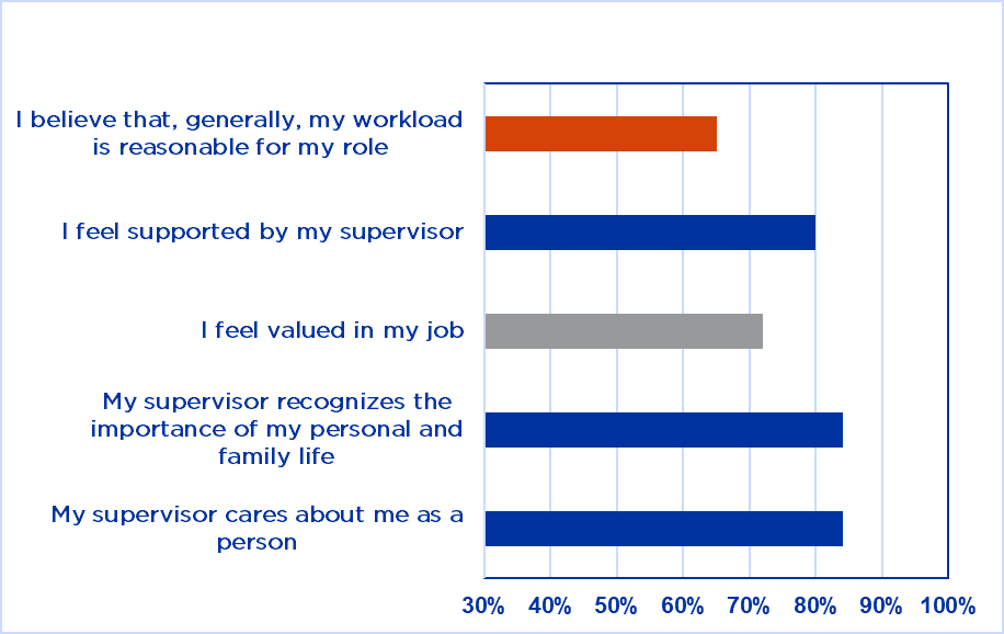 Inclusive Environment Graph, Supervisor Survey