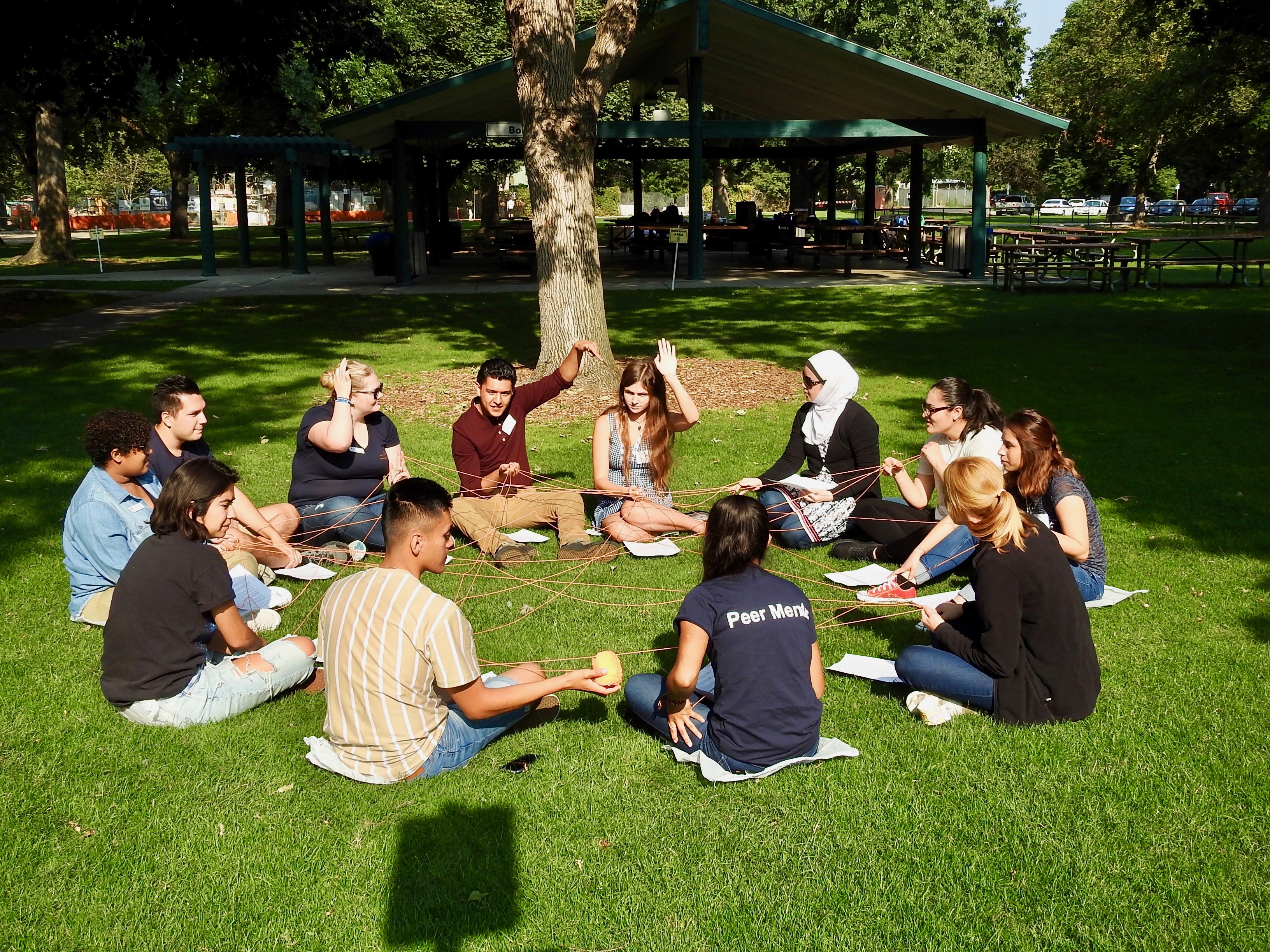 Students sitting in a circle on a field with a tree in the background