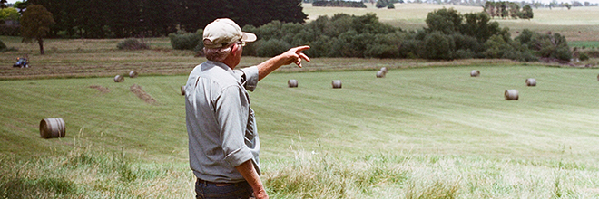 Photo of farmer looking at field