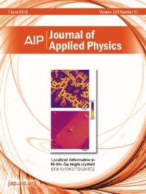 AIP Book Cover