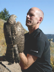 Photo of Rob Miller holding a Northern Goshawk. Photo courtesy of Rob Miller.