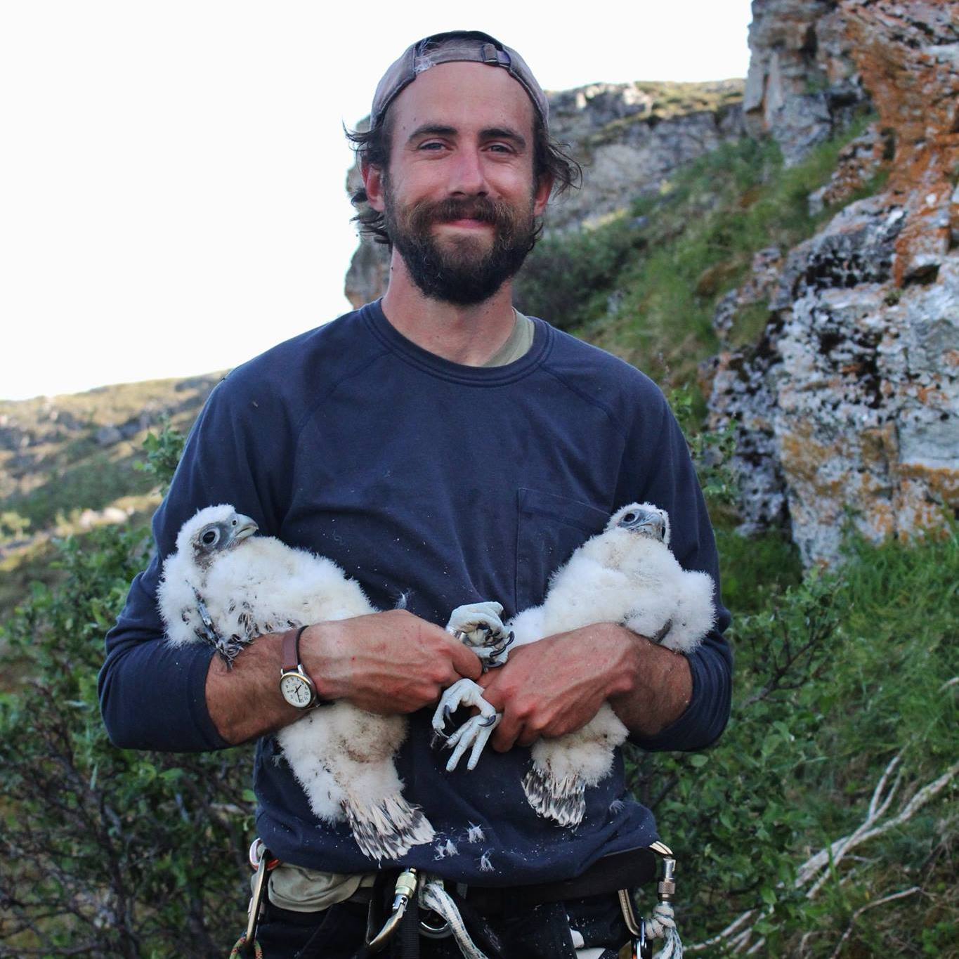 Photo of Bryce Robinson with immature Gyrfalcons
