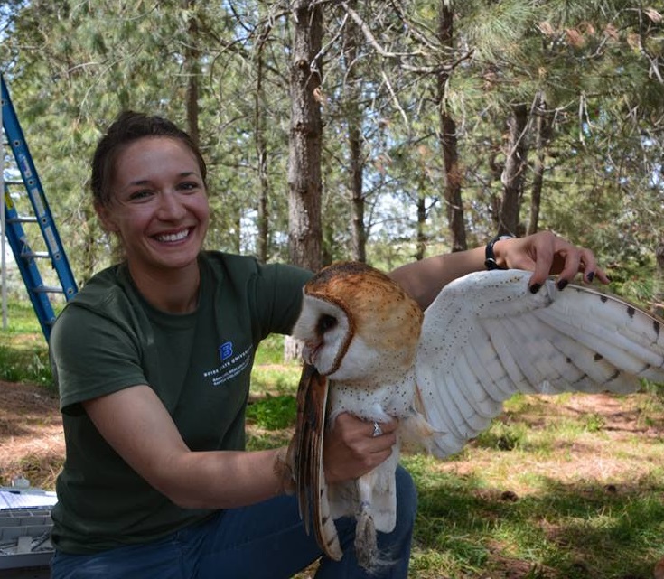 Tempe Regan holding a barn owl at a nest box location in the field