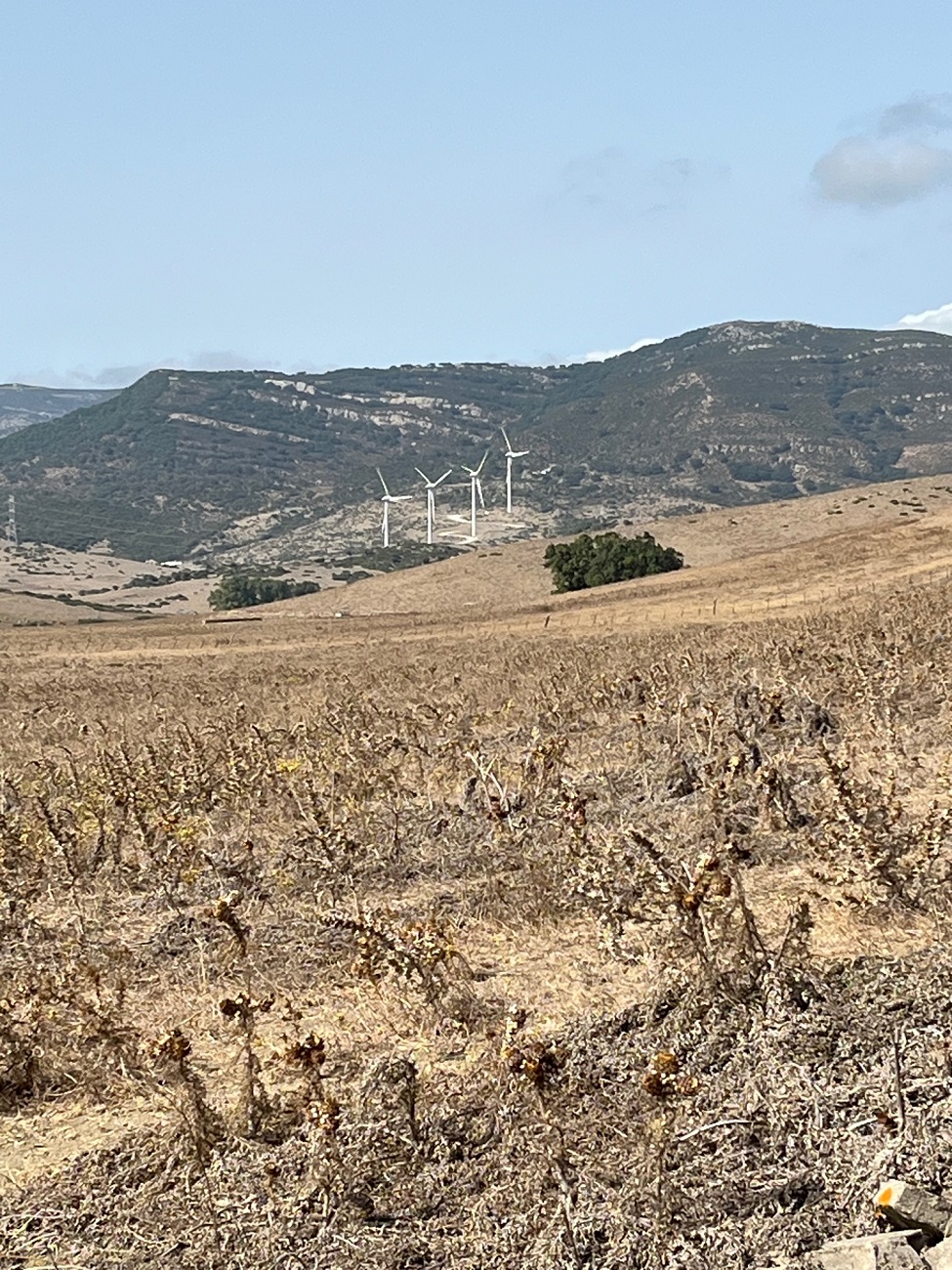 Wind turbines in Spanish scrub desert