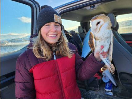 Raptor Biology student Liz Jessmore holding a barn owl by a truck