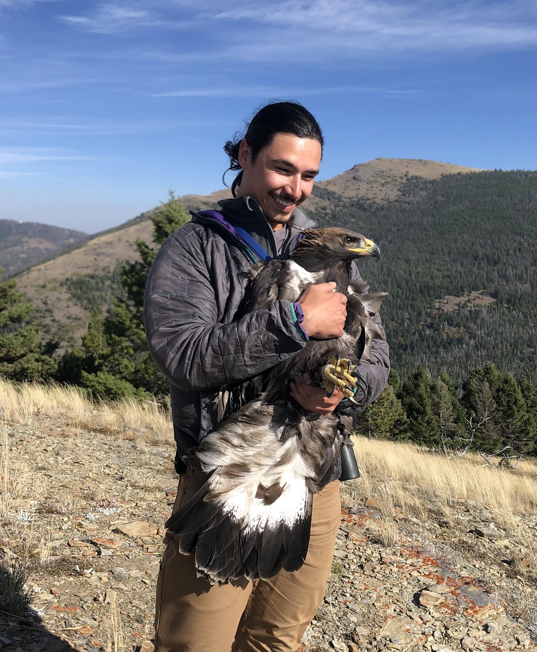 Raptor Biology student Kevin Myers holding a Golden Eagle juvenile in Montana