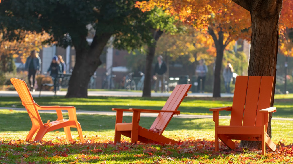Orange chairs in fall leaves