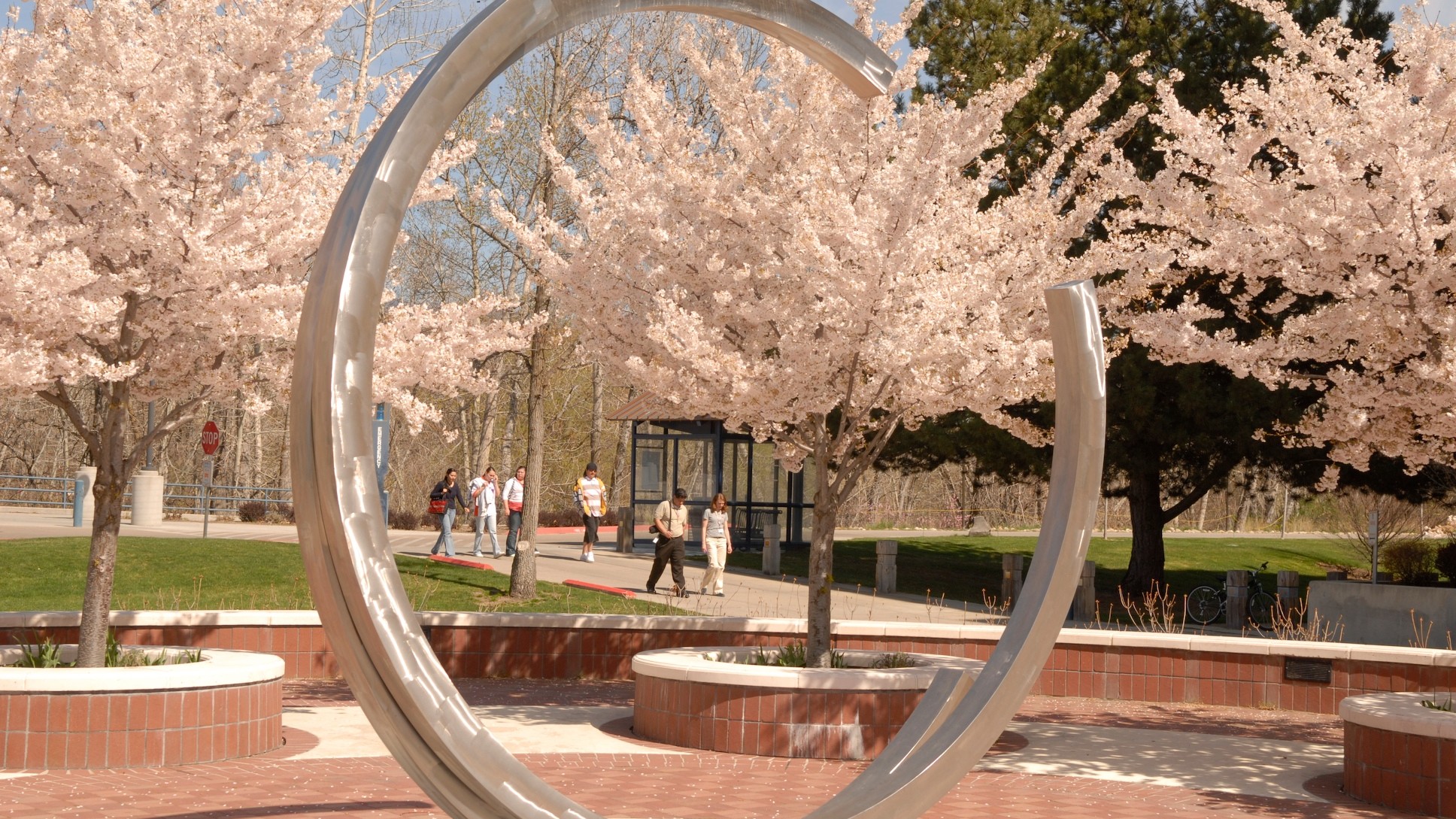 students seen through the circle sculpture surrounded by flowering trees