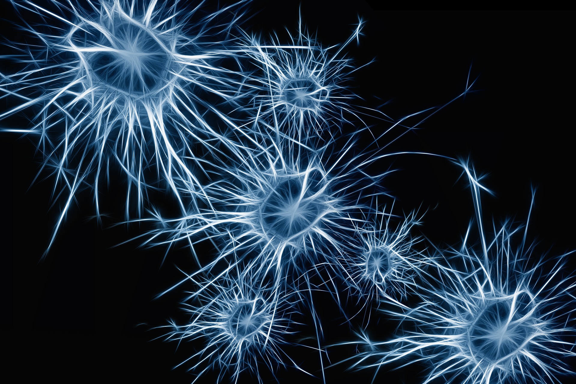 rendering of neurons