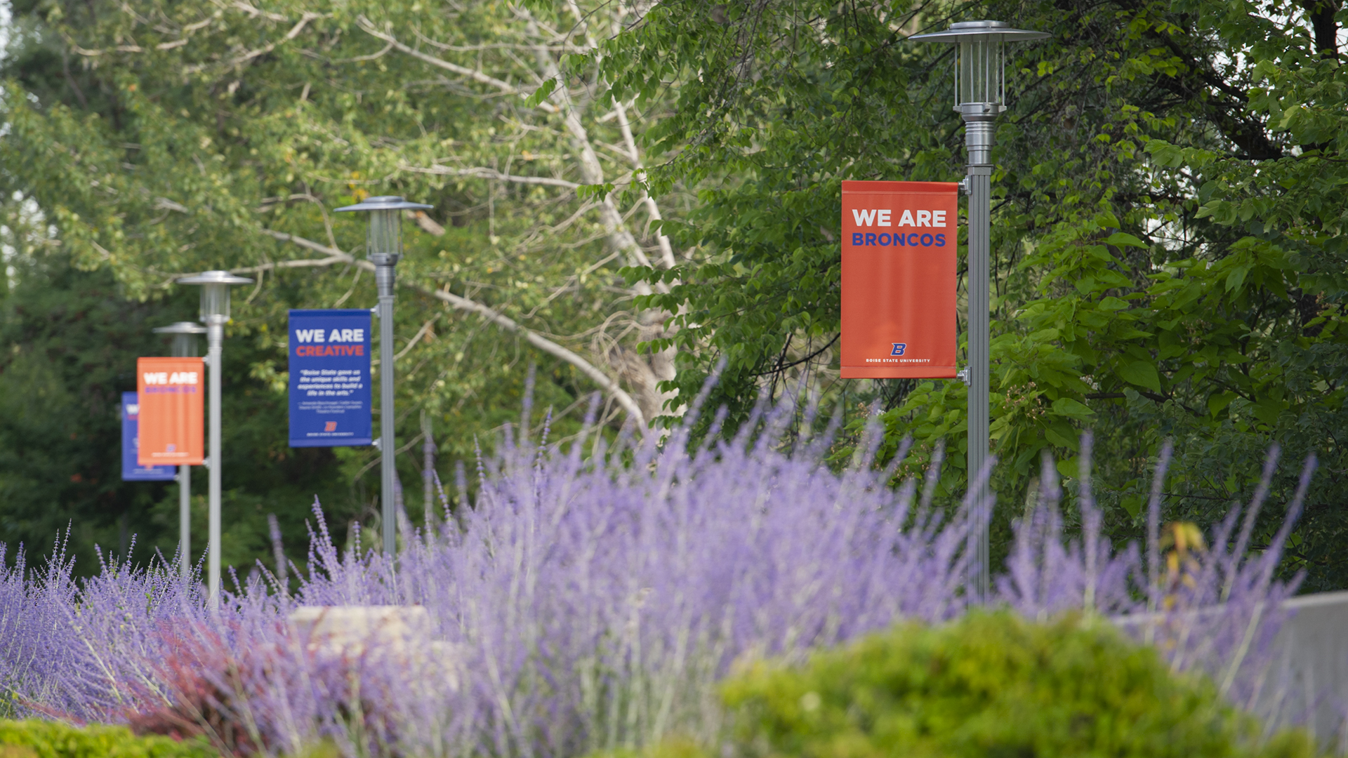 Campus Banners - We are Broncos, We are creative