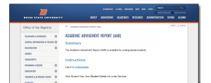 Academic Advisement report