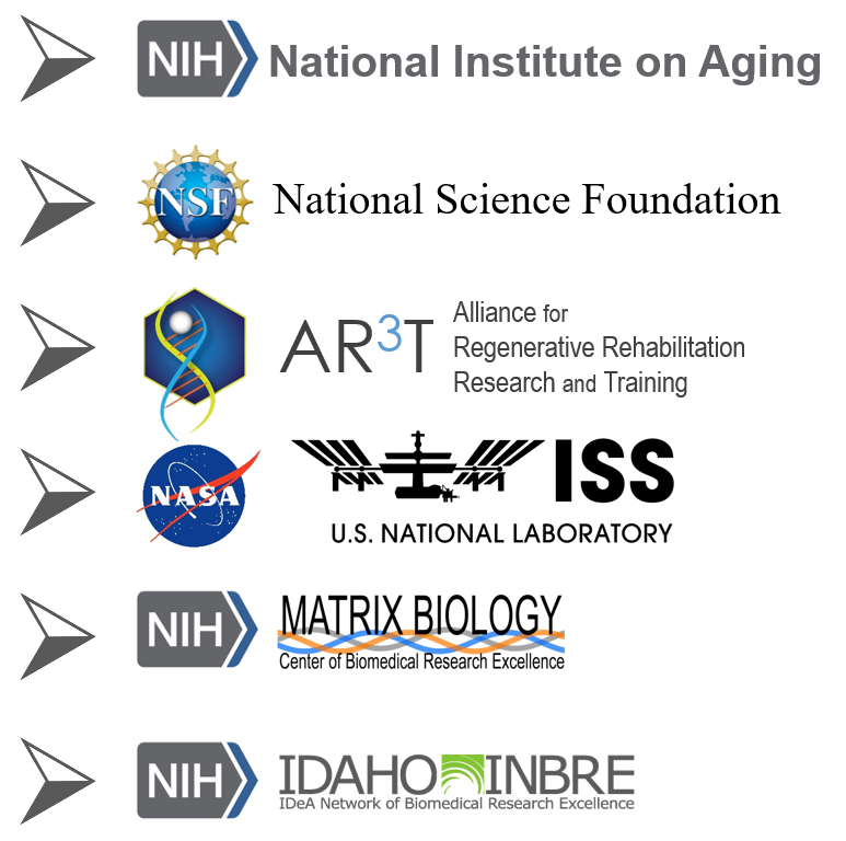 National institute on aging, national science foundation, alliance for regenerative rehabilitation research and training, US national laboratory, matrix biology, idaho network of biomedical research excellence
