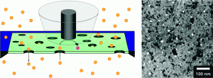 A Structure–Permeability Relationship of Ultrathin Nanoporous Silicon Membrane: