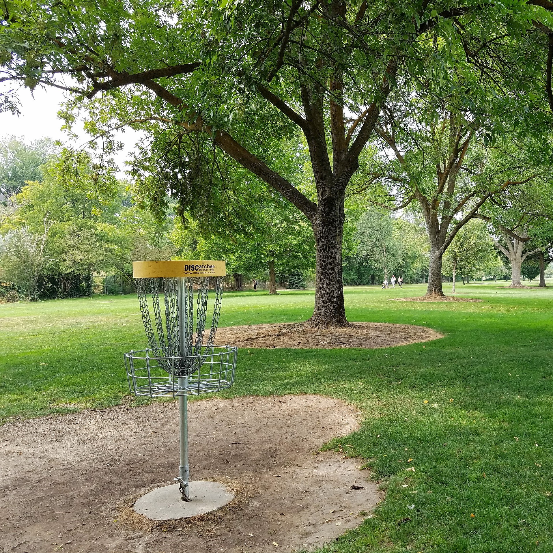 Disk Golf in Ann Morrison Park