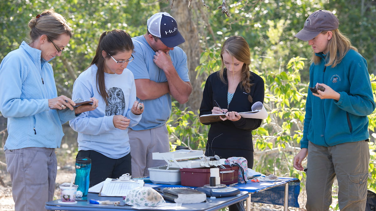 Group of students conducting research outside