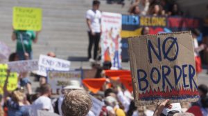 Handmade signs carried during the Families Belong Together rally