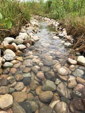 stream with rocks and grass