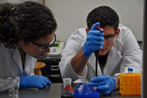 Students working in a laboratory