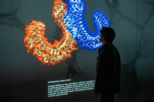 Keaton Poe interacting with the 3D chemical structure touchscreen displays in the Boise State Luminary