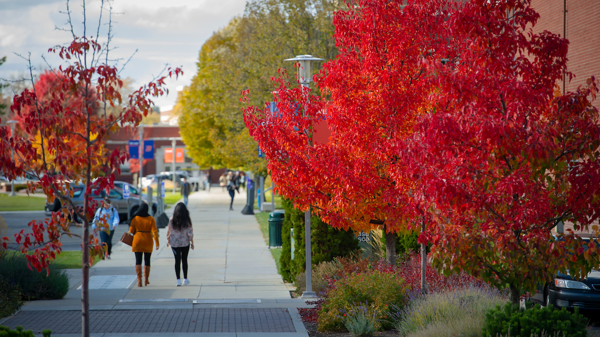 Students walking through campus in the fall