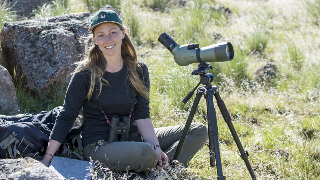 Caitlin Davis, conducting raptor research in the field, photo showcases shallow depth of field and captures the vibrant grass and rocky environment