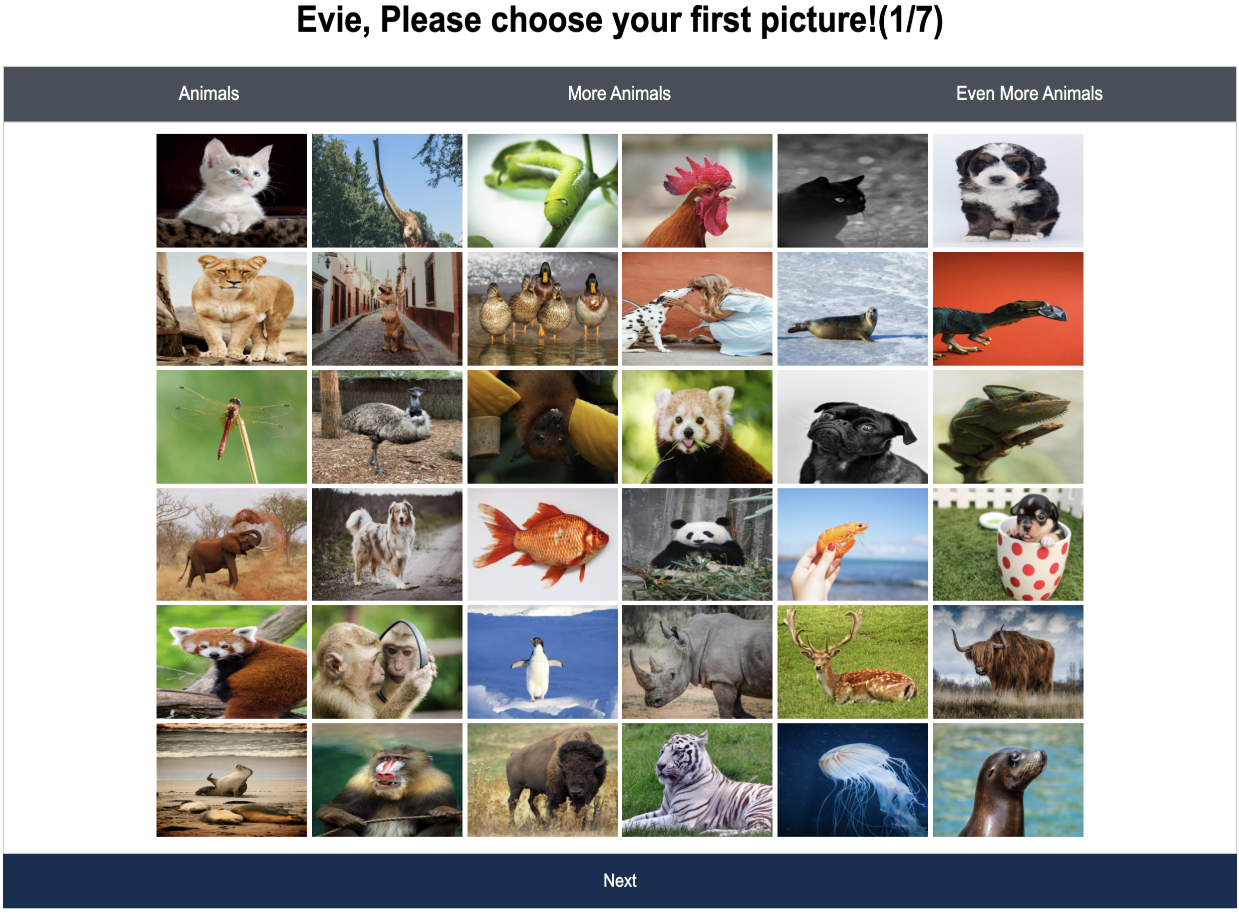 photo of a grid of images of random animals